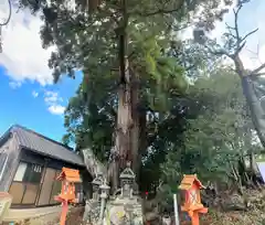 八坂神社(京都府)