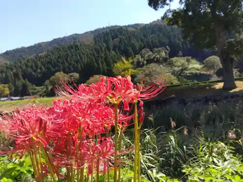 朝倉神社(福井県)