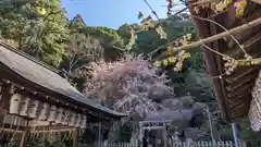 大豊神社(京都府)