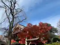 清水観音堂の自然