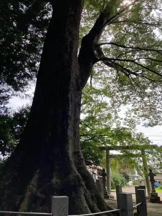 向田神社(栃木県)