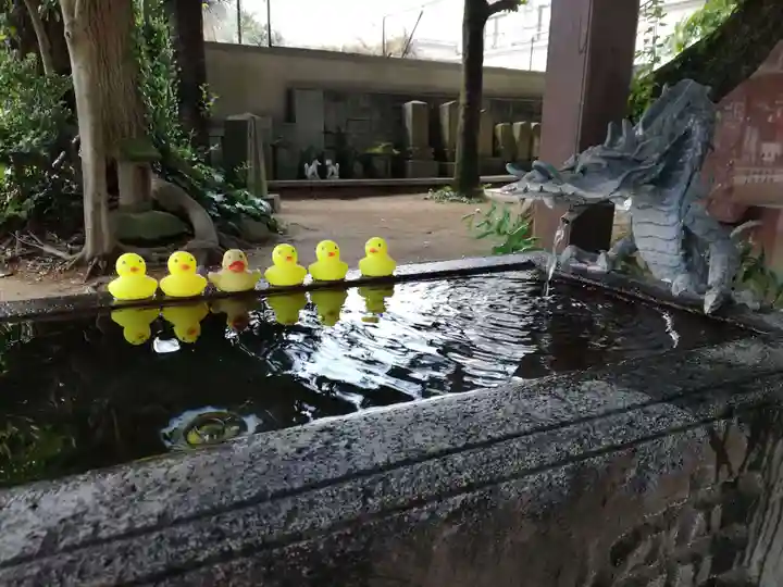 柏諏訪神社の手水舎