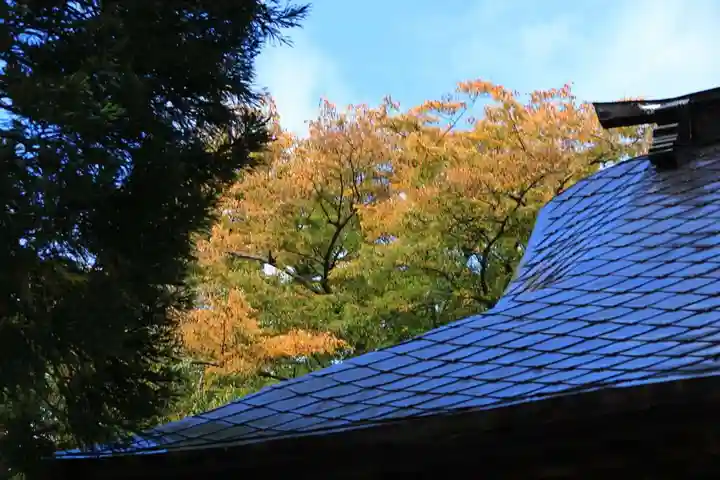 高司神社〜むすびの神の鎮まる社〜の自然
