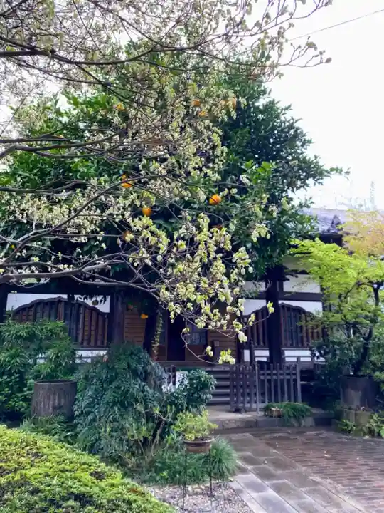 佛心寺(東京都)