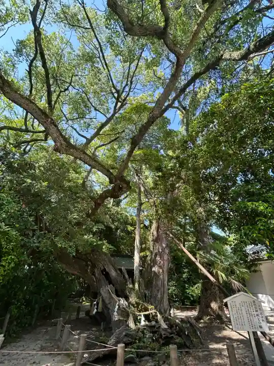 大山祇神社(愛媛県)