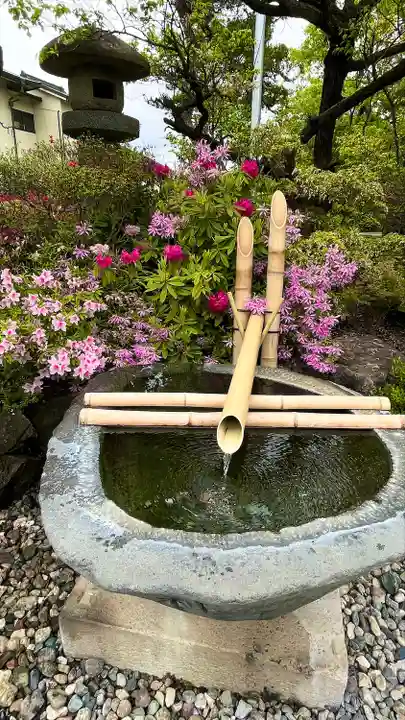 深志神社(長野県)