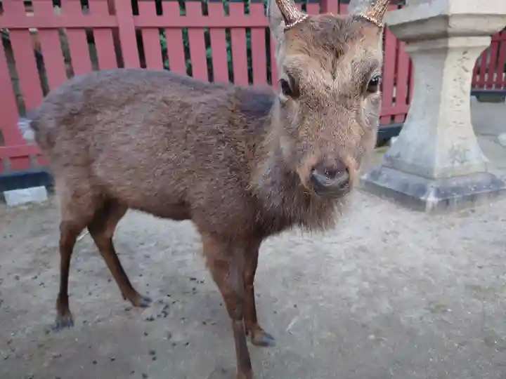 三翁神社(広島県)