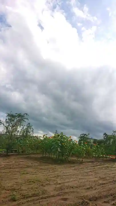 矢合観音の景色