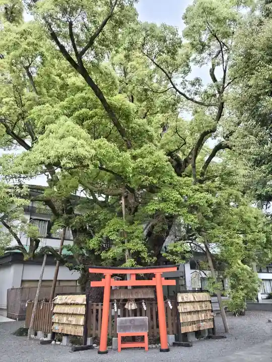 富知六所浅間神社(静岡県)