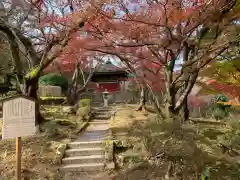 園城寺（三井寺）(滋賀県)