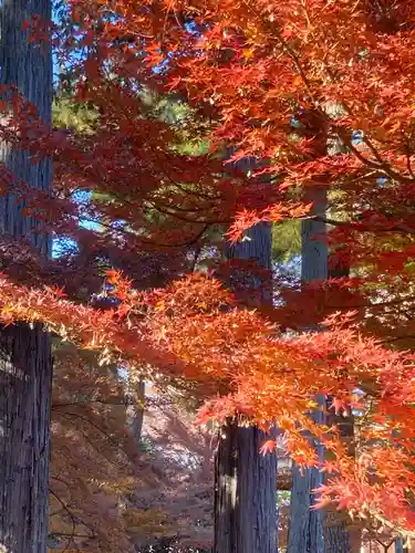 豪徳寺(東京都)
