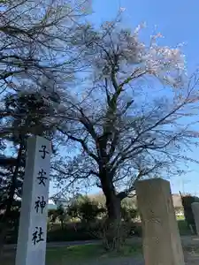 子安神社のその他建物(2021年03月27日(土) 10時05分53秒投稿)