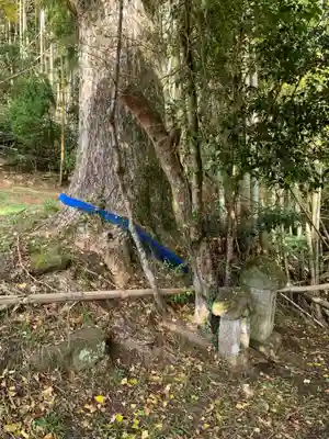 石橋稲荷(千葉県)