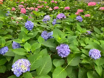 藤森神社(京都府)