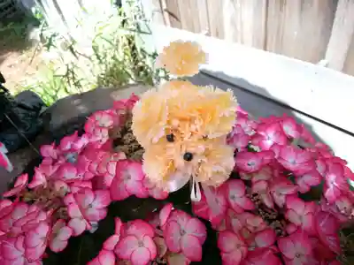 琴似神社(北海道)