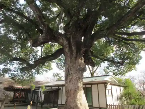 平野神社(京都府)