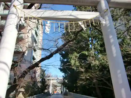 松戸神社の鳥居