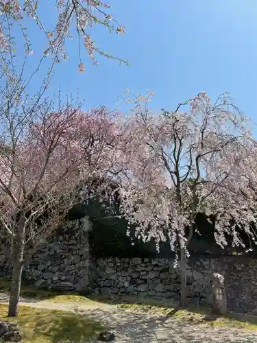 圓光寺(京都府)