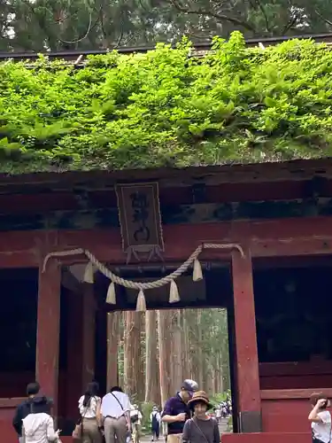 戸隠神社奥社(長野県)