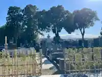 善応寺の{uncategorized: "未分類", other: "その他", undefined: "問題あり", building: "その他建物", grave: "お墓", sacred_gate: "鳥居", guardian: "狛犬", statue: "像", buddha: "仏像", history: "歴史", nature: "自然", garden: "庭園", animal: "動物", pagoda: "塔", temizu: "手水舎", mountain_gate: "山門・神門", sanctuary: "本殿・本堂", subordinate: "末社・摂社", art: "芸術", scenery: "景色", jizo: "地蔵", ema: "絵馬", goshuin: "御朱印", omikuji: "おみくじ", items: "授与品その他", amulet: "お守り", goshuincho: "御朱印帳", eats: "食事", festival: "お祭り", votive_dance: "神楽", shichigosan: "七五三参", wedding: "結婚式", experience: "体験その他", initially: "初詣", around: "周辺", anti_infection: "感染症対策"}