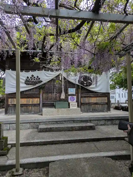 大歳神社(兵庫県)