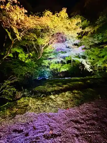 光明寺瑠璃光院(京都府)