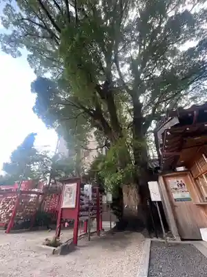 菅生神社(愛知県)