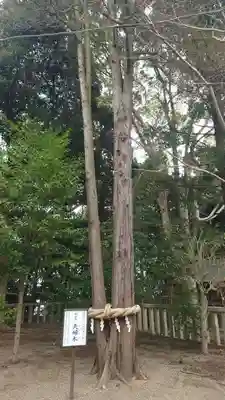 常陸第三宮 吉田神社(茨城県)