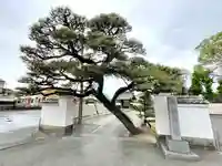 等観寺(三重県)