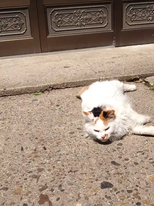 阿邪訶根神社(福島県)