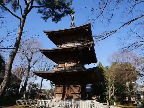 豪徳寺の塔