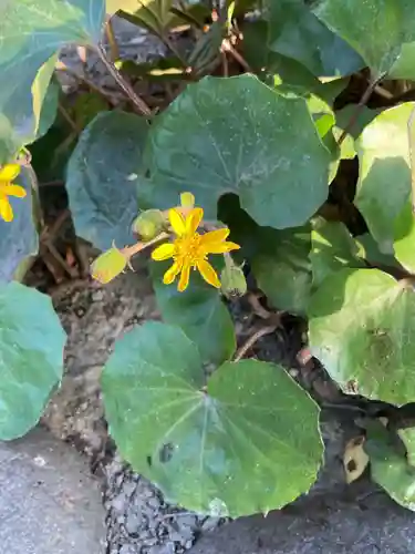 甚目寺(愛知県)