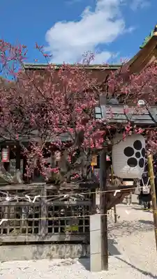 北野天満宮(京都府)