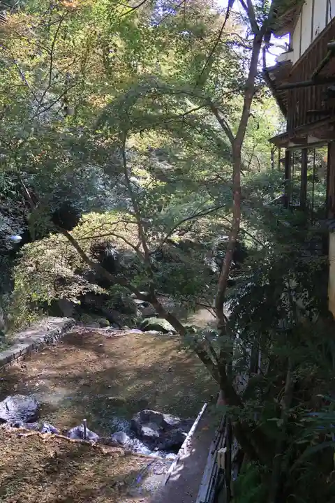 貴船神社の自然