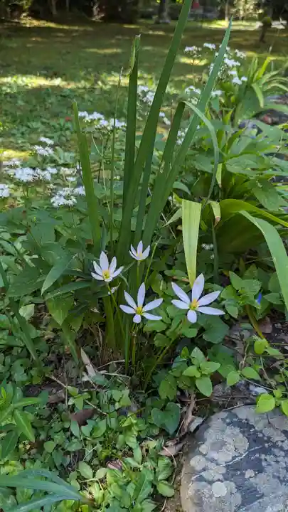 十輪寺(京都府)