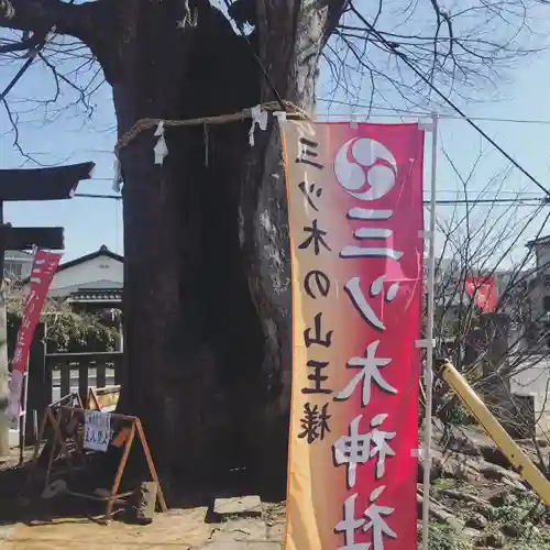 三ツ木神社の自然