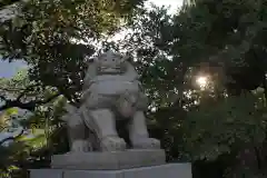 晴明神社の狛犬