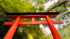 多治神社(京都府)