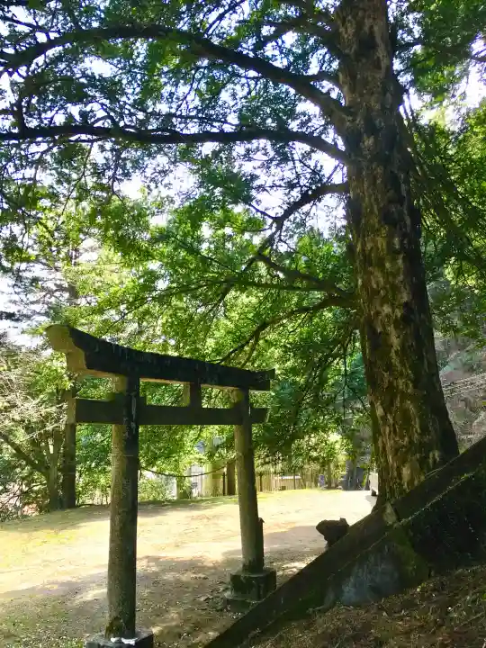 一護王社の{uncategorized: "未分類", other: "その他", undefined: "問題あり", building: "その他建物", grave: "お墓", sacred_gate: "鳥居", guardian: "狛犬", statue: "像", buddha: "仏像", history: "歴史", nature: "自然", garden: "庭園", animal: "動物", pagoda: "塔", temizu: "手水舎", mountain_gate: "山門・神門", sanctuary: "本殿・本堂", subordinate: "末社・摂社", art: "芸術", scenery: "景色", jizo: "地蔵", ema: "絵馬", goshuin: "御朱印", omikuji: "おみくじ", items: "授与品その他", amulet: "お守り", goshuincho: "御朱印帳", eats: "食事", festival: "お祭り", votive_dance: "神楽", shichigosan: "七五三参", wedding: "結婚式", experience: "体験その他", initially: "初詣", around: "周辺", anti_infection: "感染症対策"}