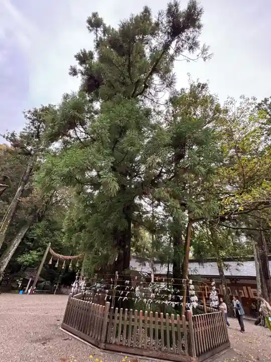 大神神社の{uncategorized: "未分類", other: "その他", undefined: "問題あり", building: "その他建物", grave: "お墓", sacred_gate: "鳥居", guardian: "狛犬", statue: "像", buddha: "仏像", history: "歴史", nature: "自然", garden: "庭園", animal: "動物", pagoda: "塔", temizu: "手水舎", mountain_gate: "山門・神門", sanctuary: "本殿・本堂", subordinate: "末社・摂社", art: "芸術", scenery: "景色", jizo: "地蔵", ema: "絵馬", goshuin: "御朱印", omikuji: "おみくじ", items: "授与品その他", amulet: "お守り", goshuincho: "御朱印帳", eats: "食事", festival: "お祭り", votive_dance: "神楽", shichigosan: "七五三参", wedding: "結婚式", experience: "体験その他", initially: "初詣", around: "周辺", anti_infection: "感染症対策"}