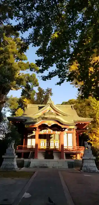 柴又八幡神社の本殿・本堂
