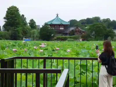 寛永寺不忍池弁天堂の本殿・本堂