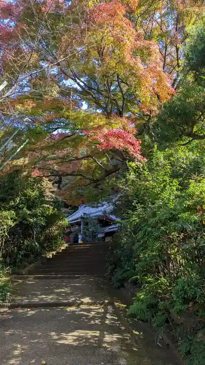 尊勝院(京都府)