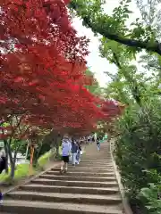 新倉富士浅間神社(山梨県)