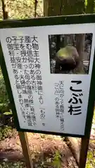 花園神社(茨城県)