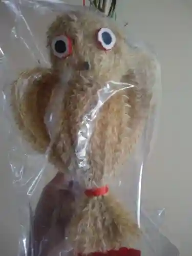 鬼子母神堂　(法明寺）(東京都)