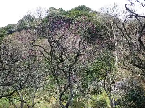 瑞泉寺の庭園