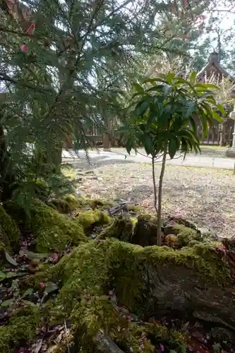 金峯山寺の庭園