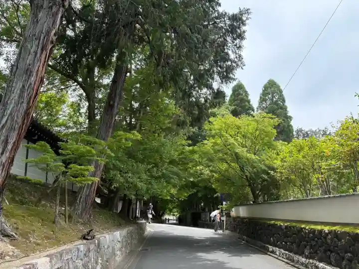 東福禅寺(東福寺)(京都府)
