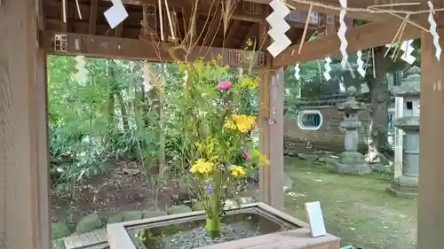 赤坂氷川神社の手水